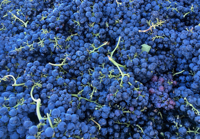 Red Wine