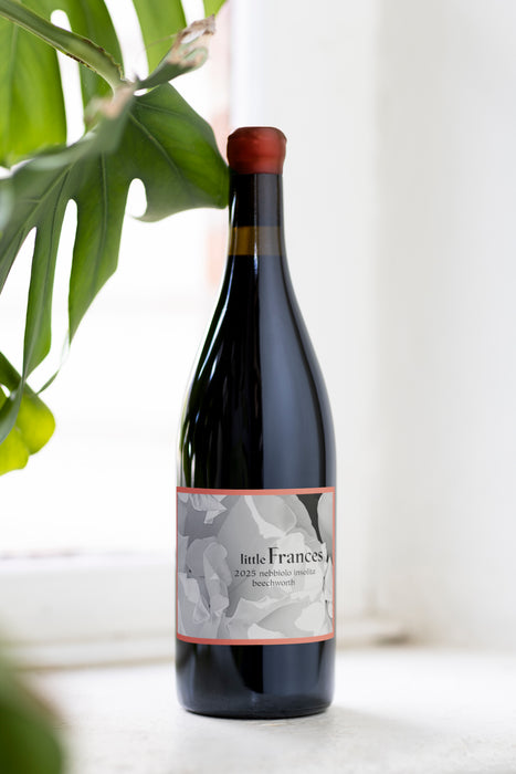 2025 Little Frances Nebbiolo Insolita